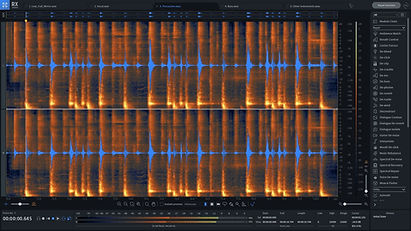 Audio restoration dialoge noise.jpeg