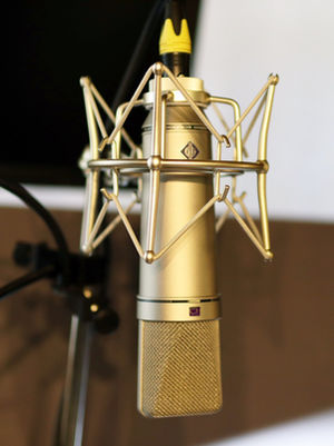 Neumann U87ai is one of the many great vocal mics we use at Beat Tank to make your vocals sound amazing!417433_n.jpeg