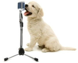 Voice Over Recording Studio Melbourne