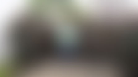 Leopoldina recebe efetivo do Exército para reforçar a guerra contra o Aedes aegypti