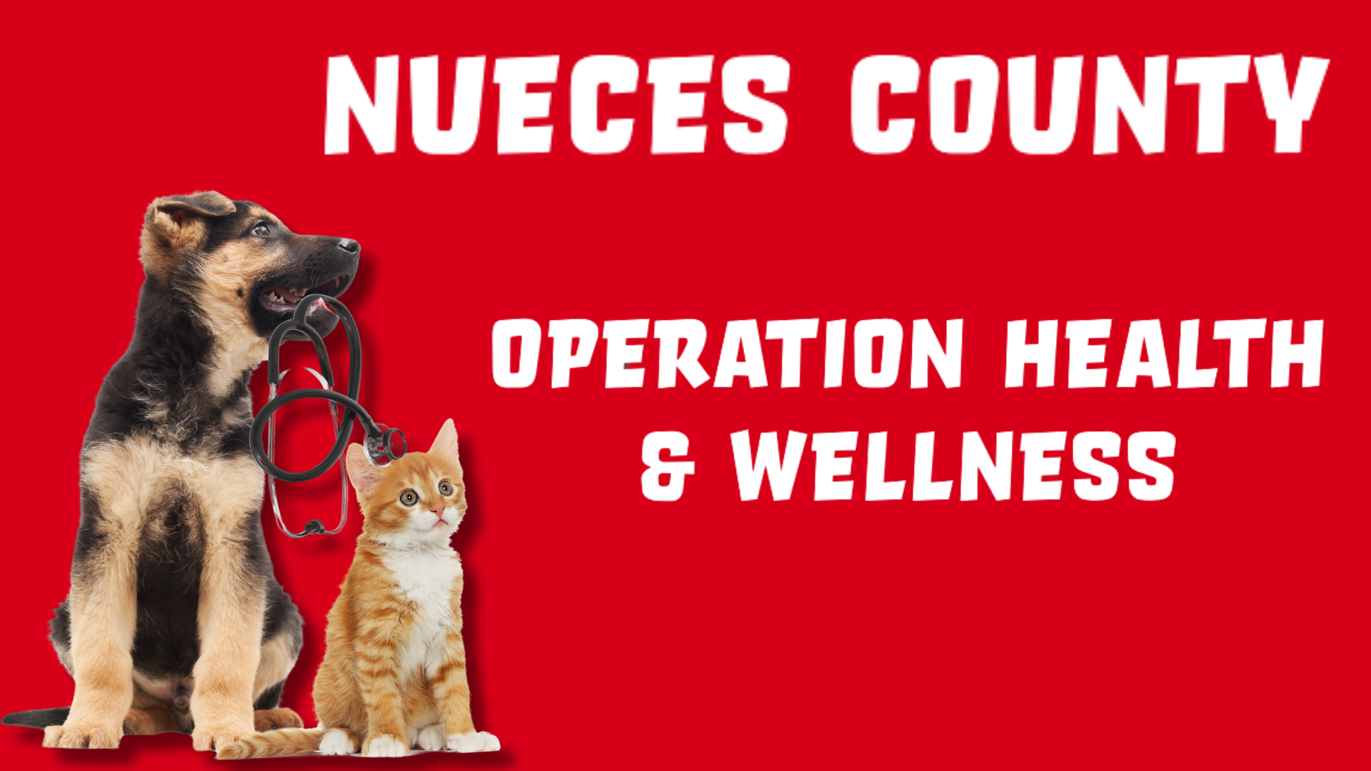 Operation Health and Wellness | Gulf Coast Humane