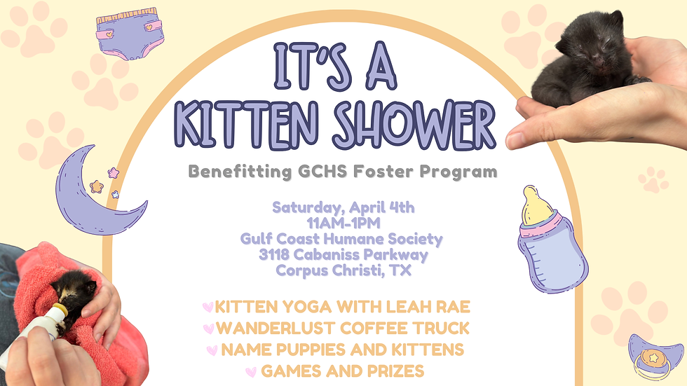 Kitten Shower🐱🍼