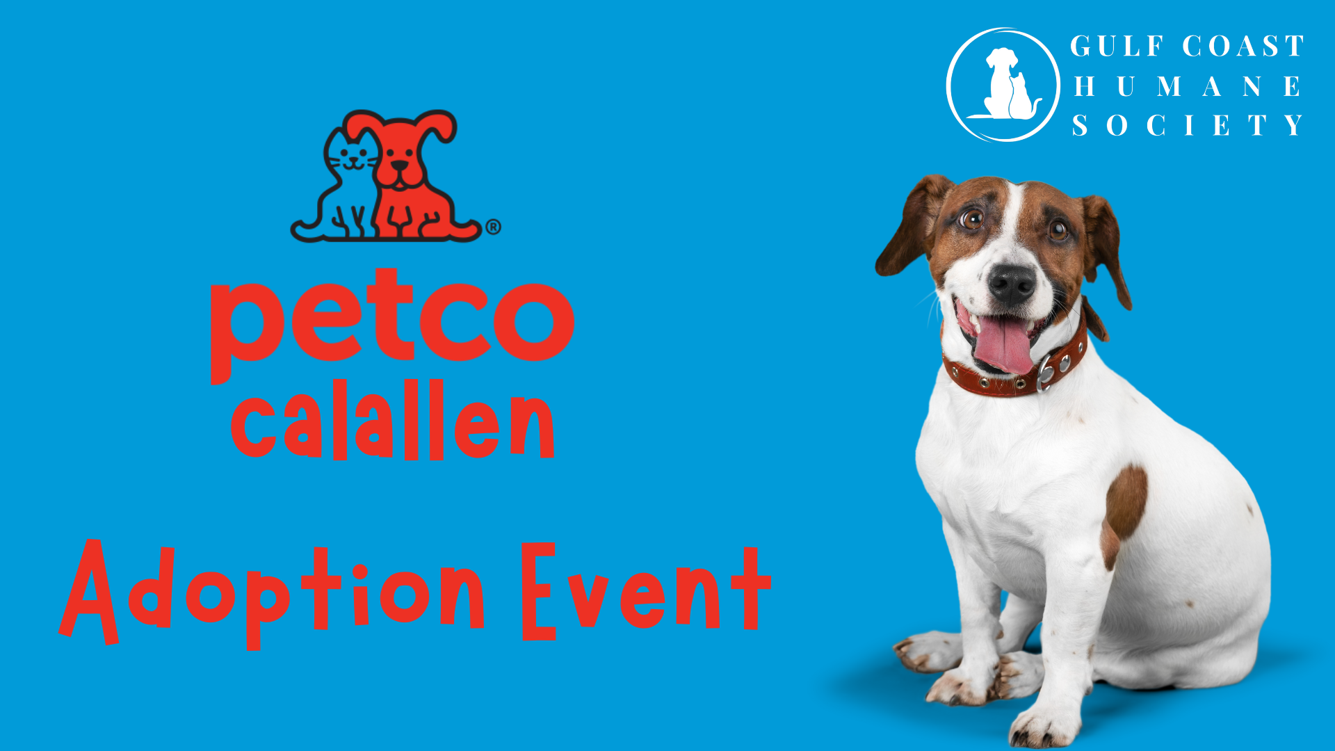 Petco Calallen Adoption Weekend Gulf Coast Humane