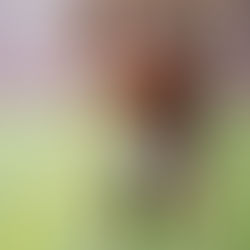 DR3: Impresa sfiorata contro la capolista imbattuta