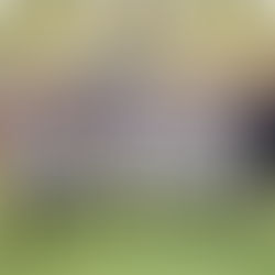 U13: Netto successo contro il Russi