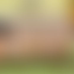 U14: Faenza viola il PalaFuso