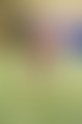 DR3: Primo stop stagionale contro il Tatanka