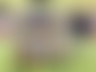 U16CSI: Successo sul Scirea Basket