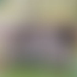 U14: Riccione espugna il Palafuso