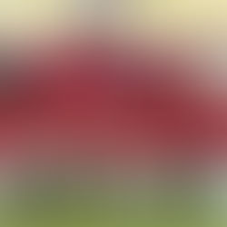 IDiv: Gara1 vinta da Fusignano