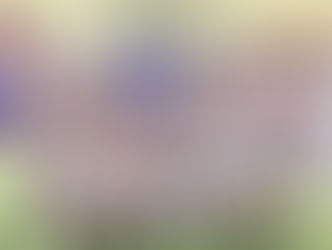 U16 CSI: Senza storia con il Junior Basket