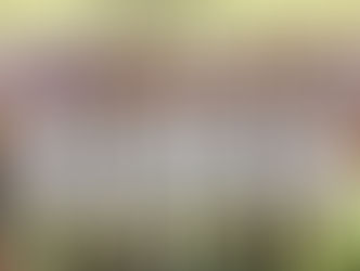 U18: Imola vince a Fusignano