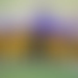 EsoG: Senza problemi contro il G. Scirea