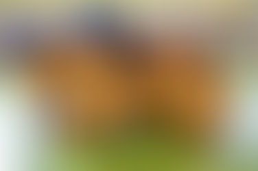 EsoG: Battuto il Futura Faenza