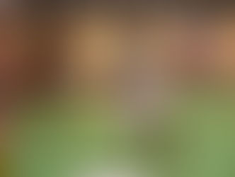 DR3: Il derby è della Robur