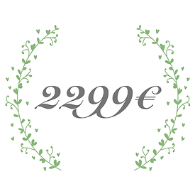 2299.png