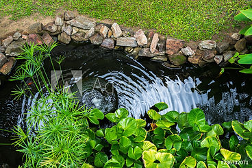 Patrick Beying Garten- und Landschaftsbau