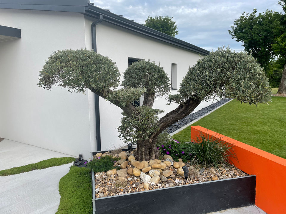 sevremoine cholet paysagiste vendée longeron sèvremoine design espace vert enrobé piscine pergola store allées clôtures