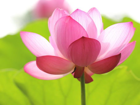 The Truth About Channeling