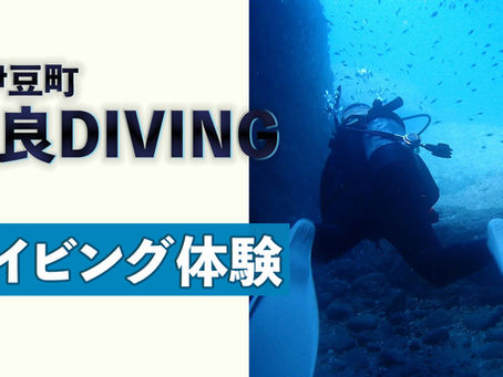 ふるさと納税のご案内