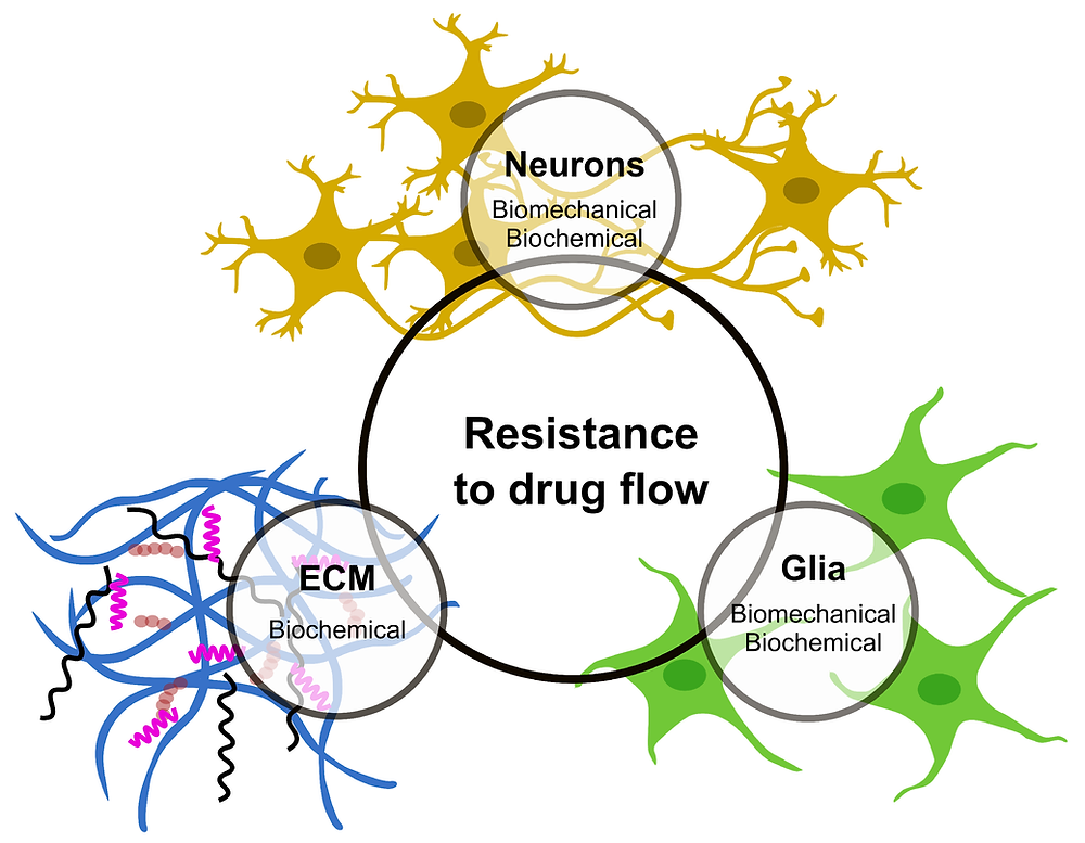 A Comprehensive Review on Infusion-Based Targeted Drug Delivery in the ...