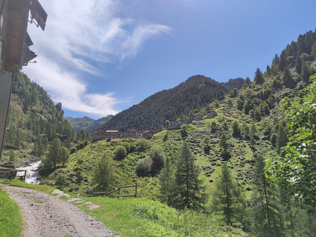 #Trekking - Approfondimenti sulla sicurezza in montagna