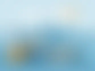 Guide to Rental Yield in Dubai