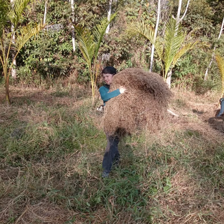 Hugelkulture.  Soil Health.