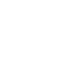 DDI_logo_white.png