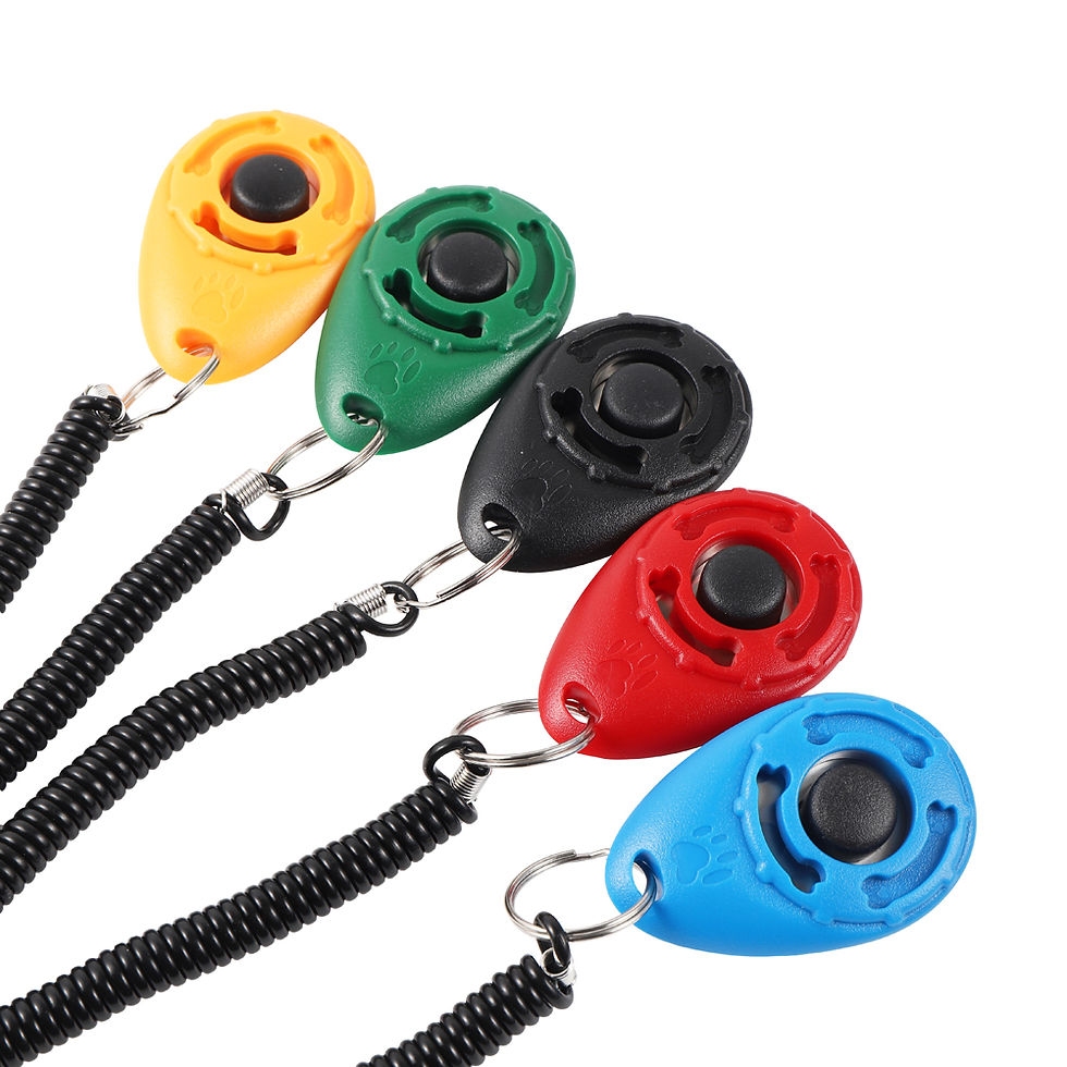 Thumbnail: Adjustable Dog Training Clicker with Keychain Strap