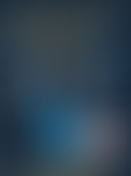 Shadow and Bone: Book 1