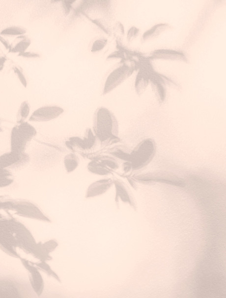 Leaves Shadow _edited_edited.jpg