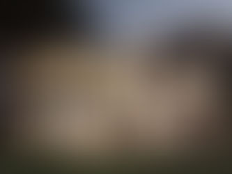 8 Common Problems Property Managers Face with Bond Cleaning Agencies in Australia