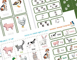 animal cards activity photo 2_edited_edited_edited_edited.jpg
