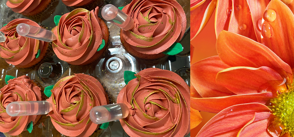 Swddts Site Samples  (29).png