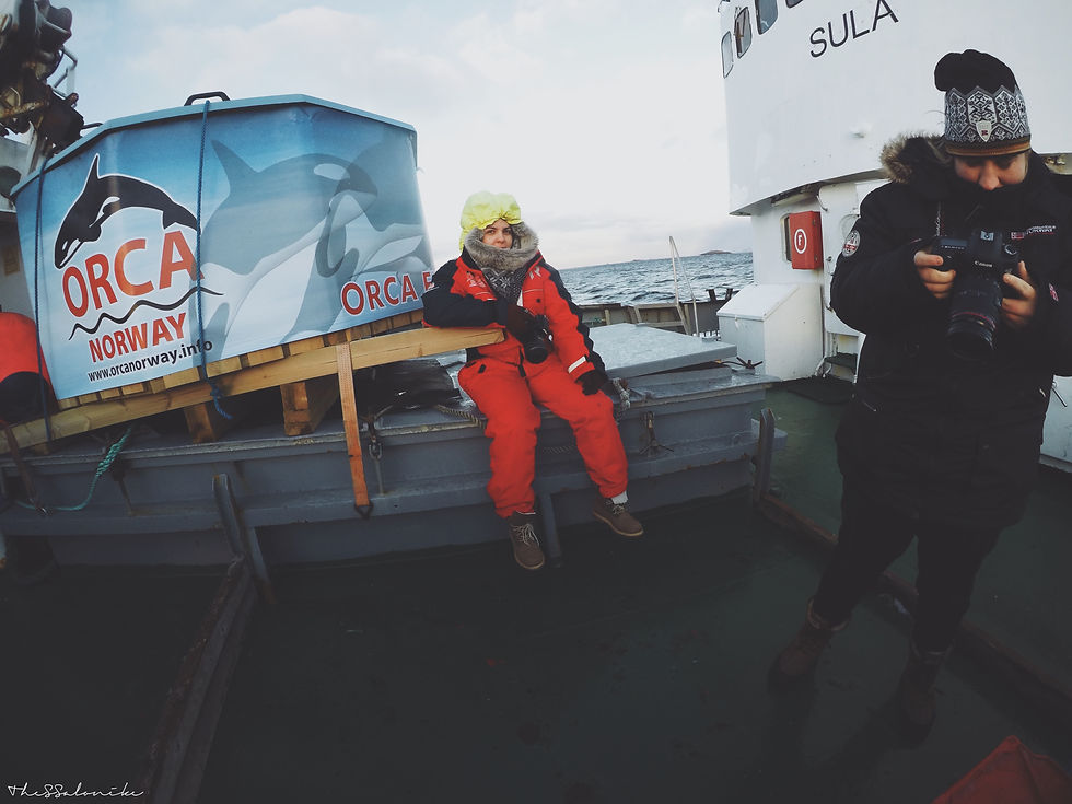 USEA Diving Chiara Salomoni