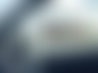 Japan Returns To Commercial Whaling