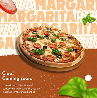 pizza visual.jpeg