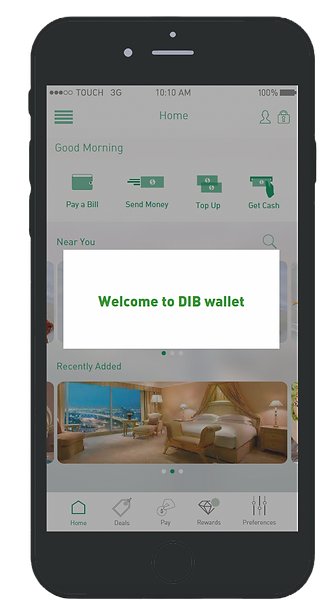 DIB Screenshot_edited.png