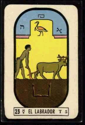 23 El Labrador