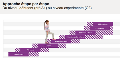 niveau_Cambridge.png