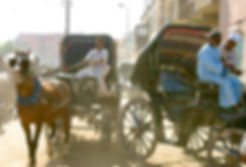 IMG_2621.jpeg