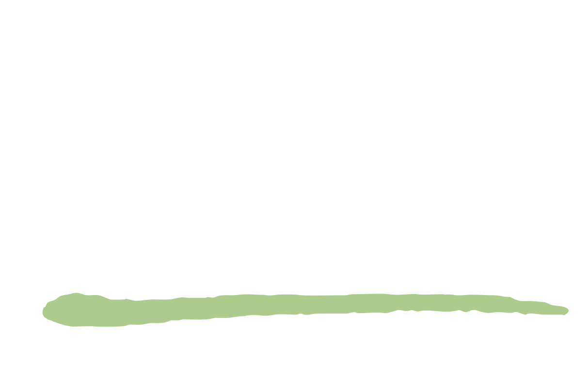 Logo-Bundesverband_hell.png