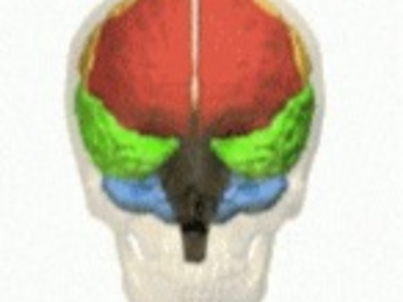 BCIA Didactic Course TRS Neurofeedback
