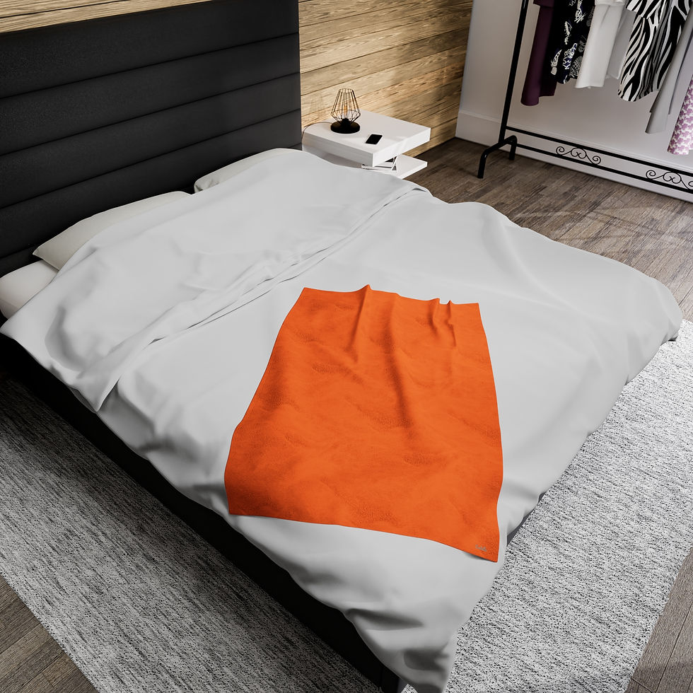 Thumbnail: Velveteen Plush Blanket