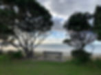 IMG_2197.jpeg