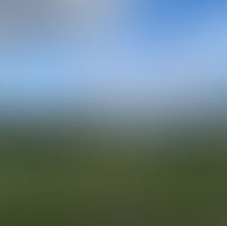 Matarangi Summer Festival