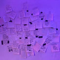 IMG_5839.JPEG