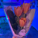 IMG_5831.JPEG