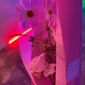 IMG_5663.JPEG